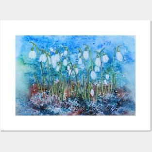 Snowdrops Posters and Art